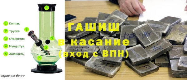 шишки Арсеньев