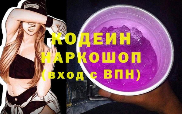 шишки Арсеньев