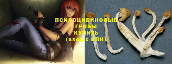 шишки Арсеньев
