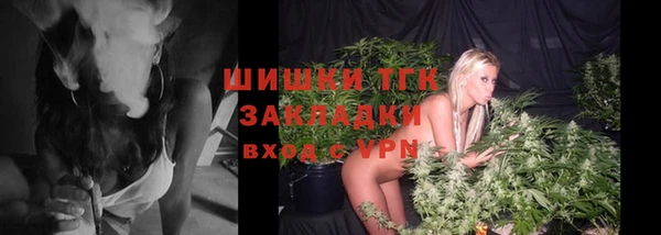 шишки Арсеньев