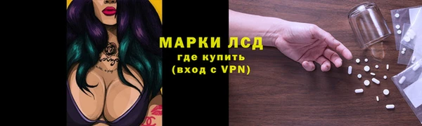 шишки Арсеньев