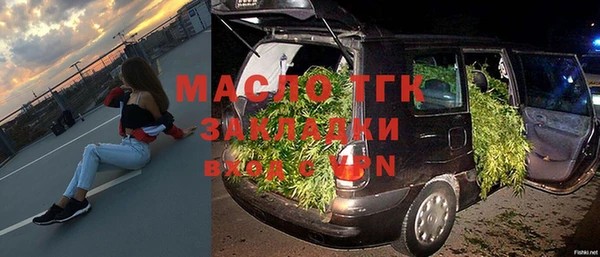 шишки Арсеньев
