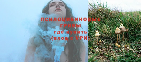 шишки Армянск
