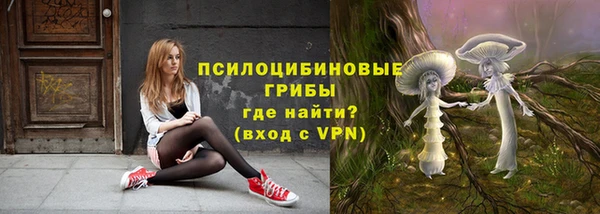 шишки Армянск