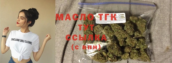 шишки Арсеньев